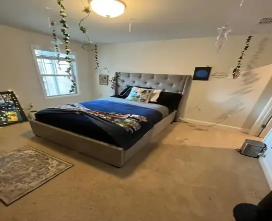 Apartment Cleaning Services